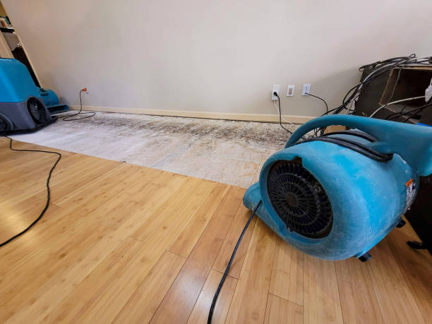 Professional Flood Damage Cleanup technician working in Converse, SC
